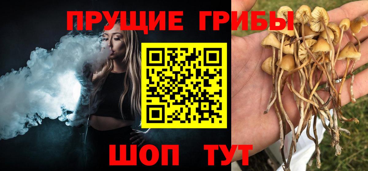 Выкса  Галлюциногенные грибы мухоморы  цена наркотик  Вход с VPN 