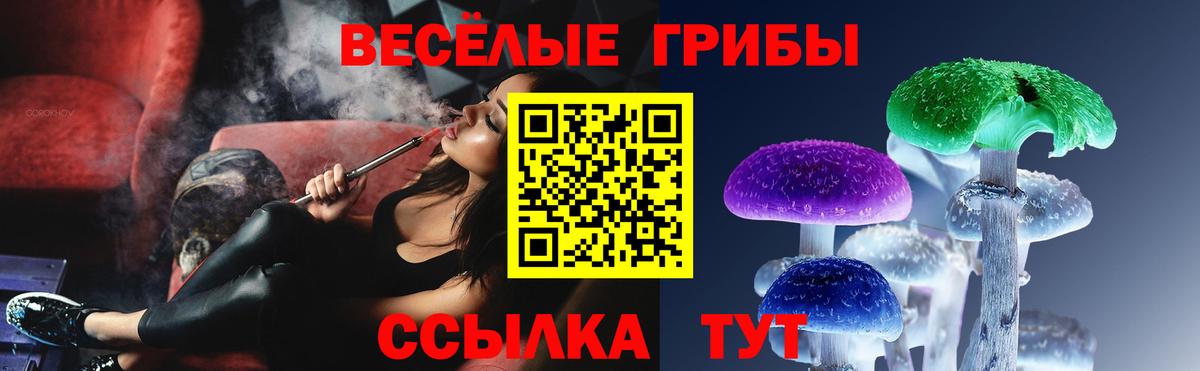 Псилоцибиновые грибы Cubensis Выкса